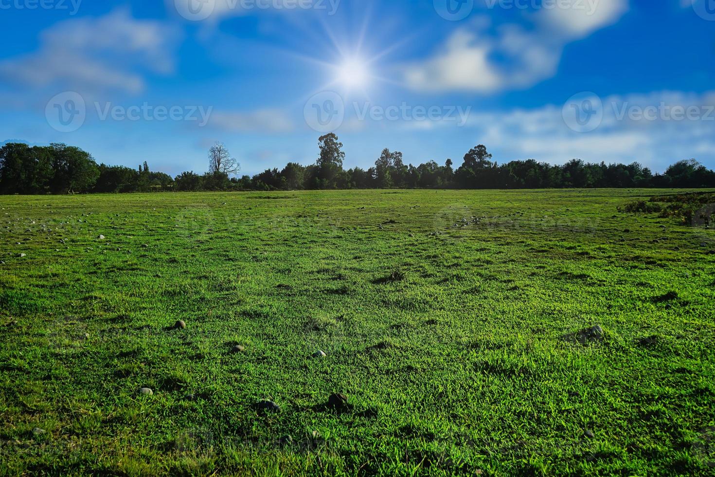 paesaggio naturale con un campo verde foto