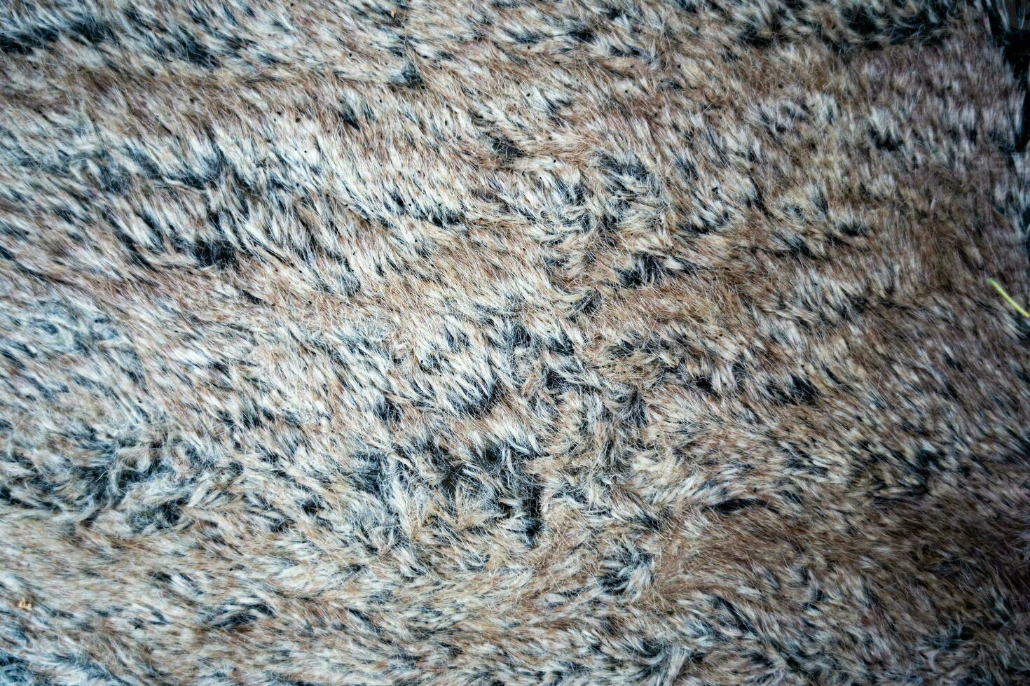 un' sfocato grigio tappeto sfondo. struttura per il sfondo foto