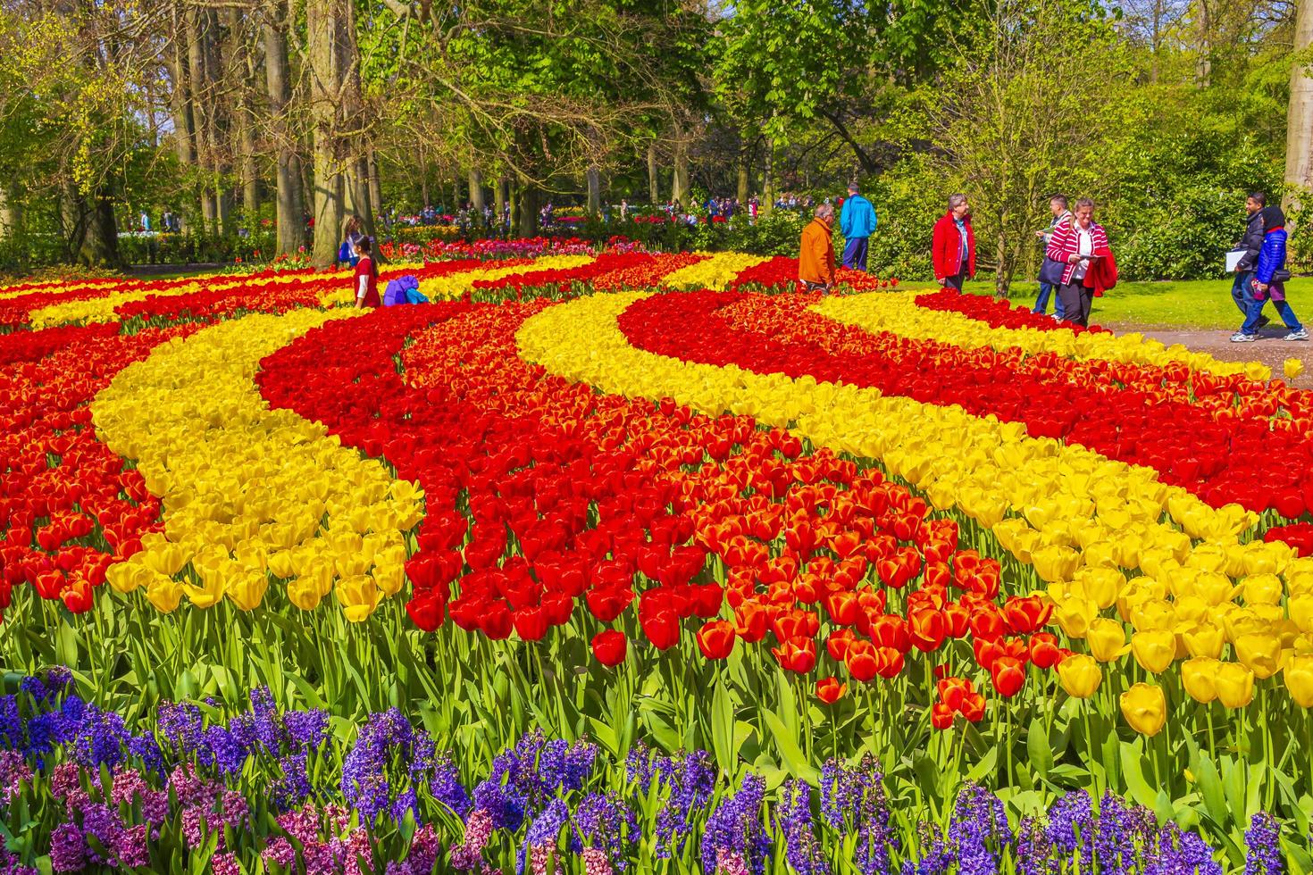 Lisse, Paesi Bassi, 20 aprile 2014 - tulipani colorati e narcisi nel parco dei tulipani di keukenhof foto