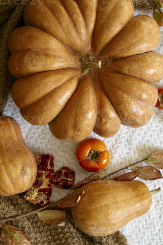 accogliente autunno sfondo con zucca foto