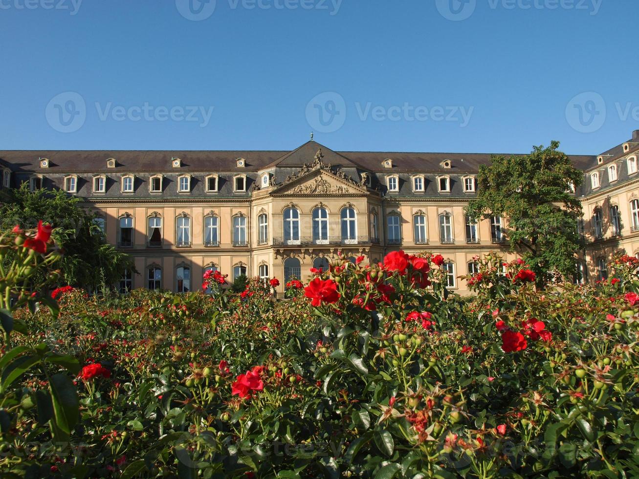 Neues Schloss Nuovo Castello, Stoccarda foto