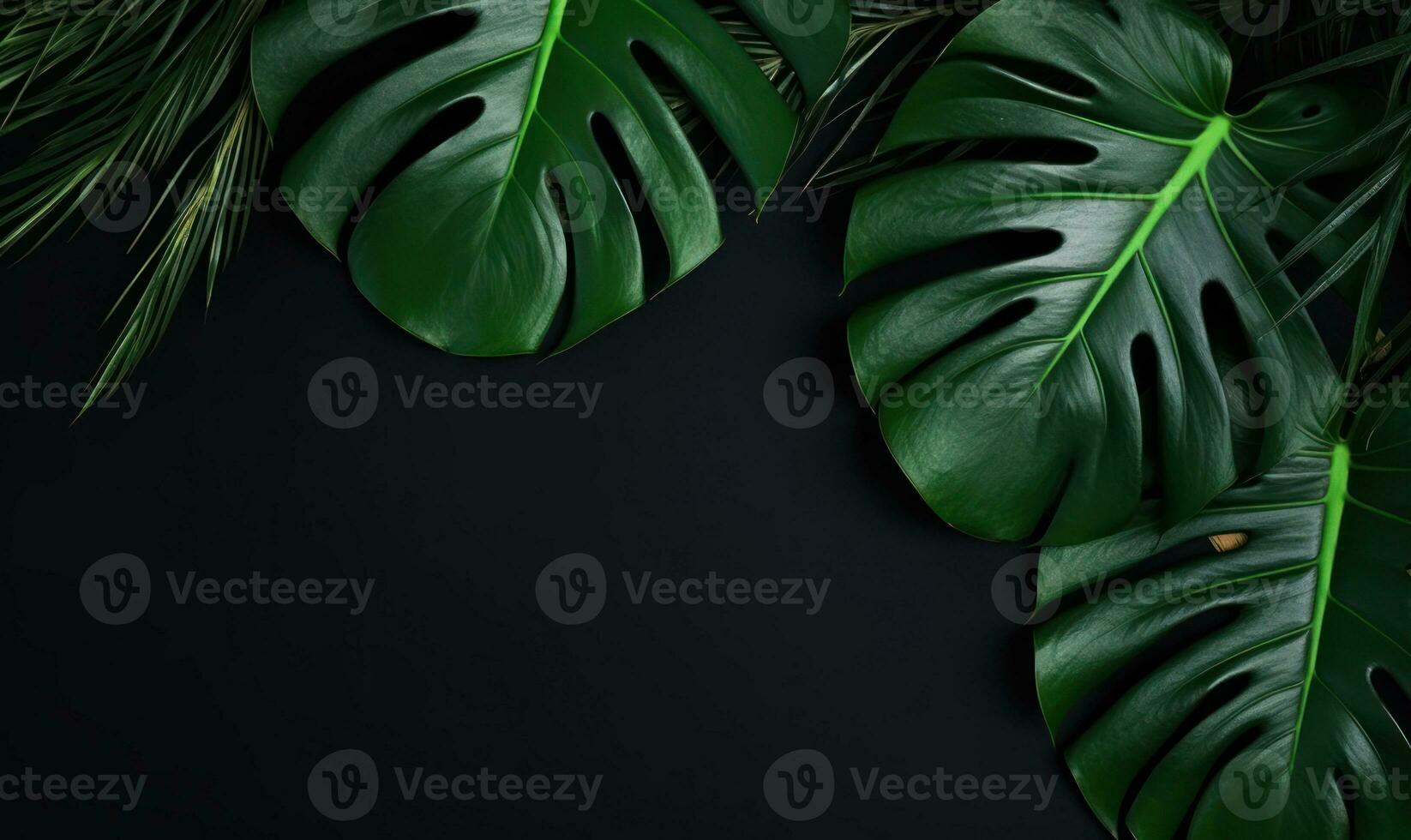 un' travolgente Vettore di Monstera le foglie impostato contro un' nero sfondo. creato di ai foto