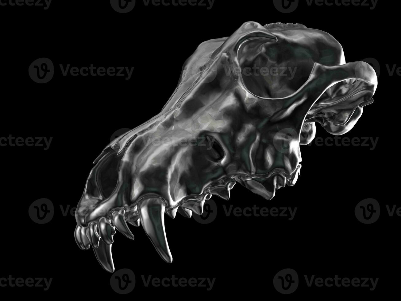 superiore parte di un' lupo cranio - buio umore colore - isolato su nero sfondo foto