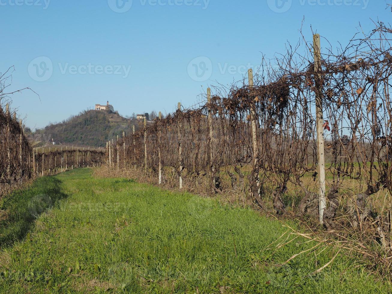 colline del roero in piemonte foto