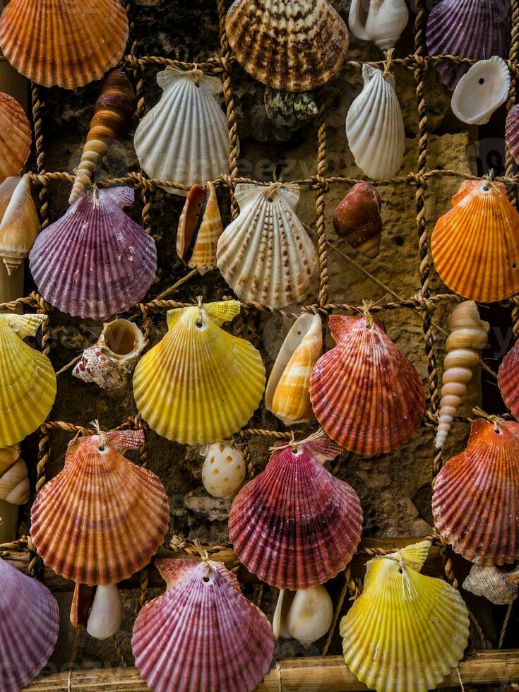 mazzo di colorato mare conchiglie - casa fatto decorazione foto