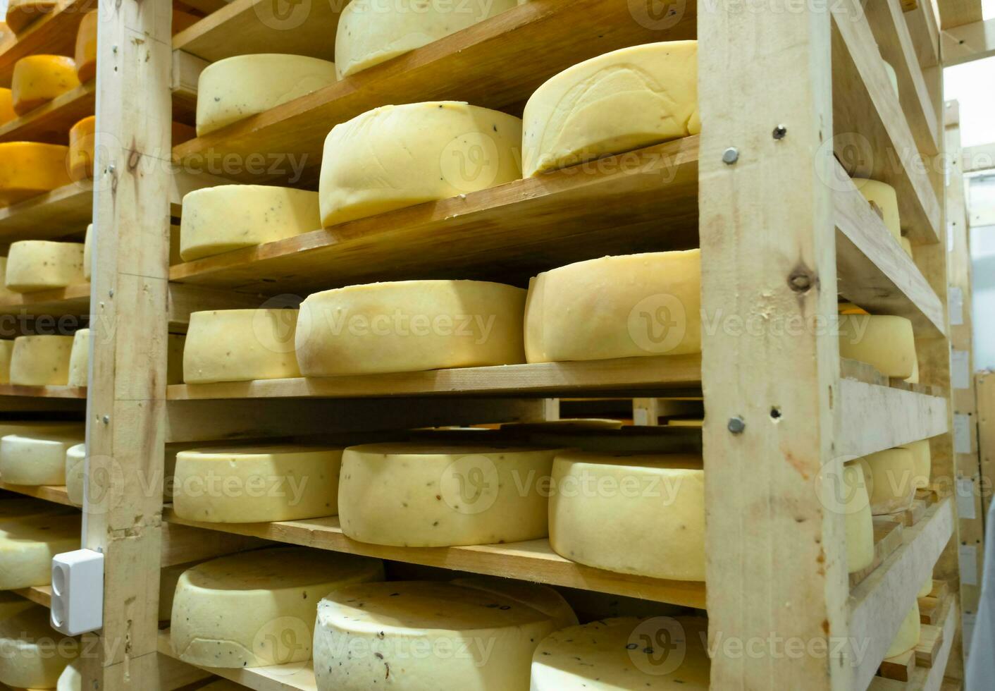il giro formaggio teste nel il formaggio fabbrica menzogna su il scaffali di il cremagliere nel il Conservazione per maturazione. produzione di naturale formaggio, cibo magazzino foto