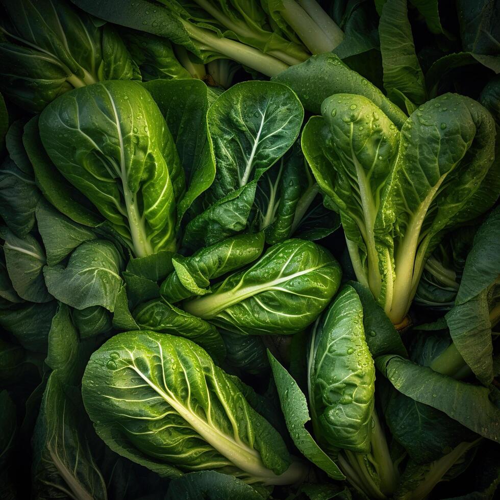 realistico foto di un' mazzo di bok choy. superiore Visualizza verdure scenario. ai generato