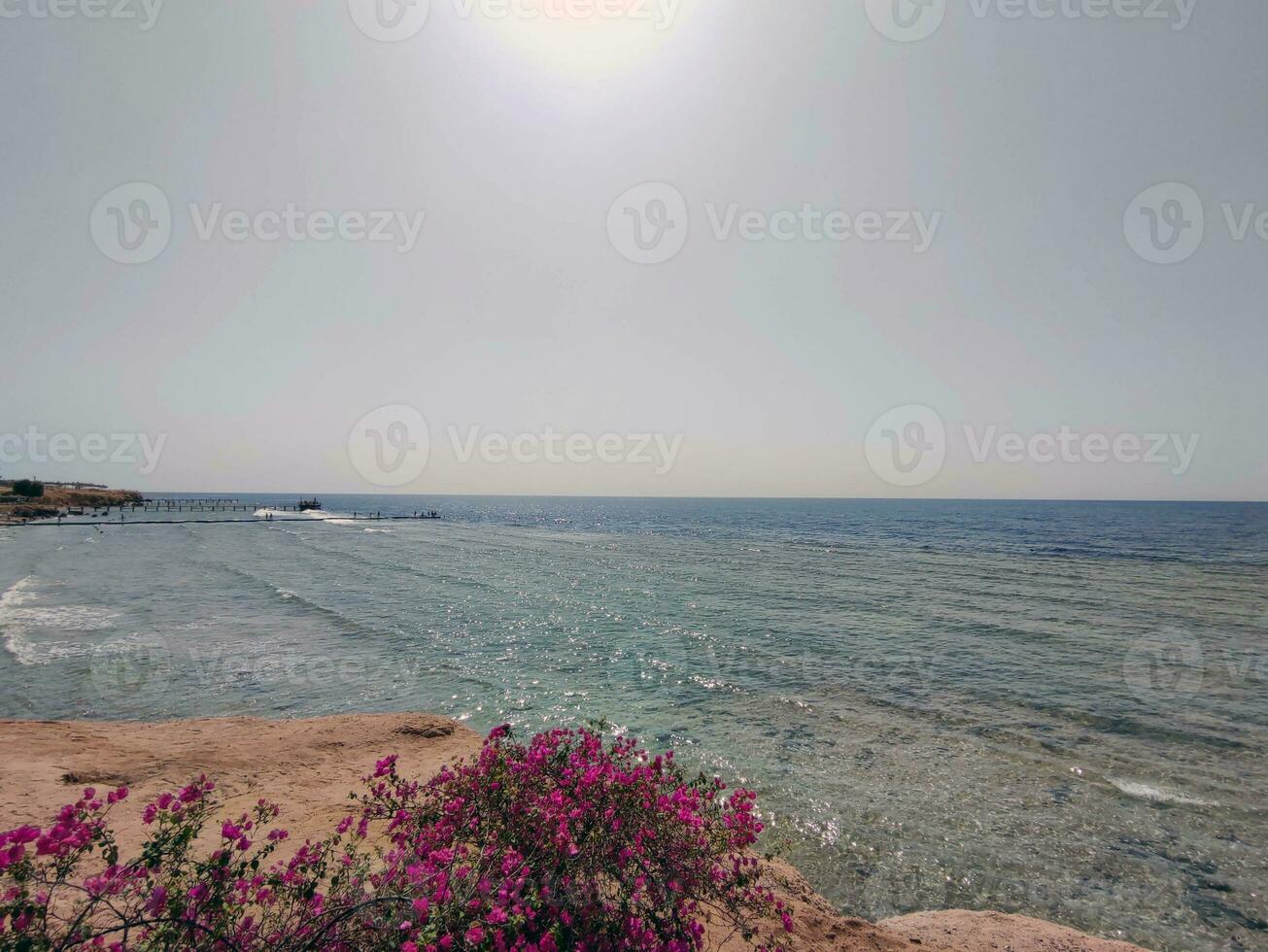 rosso mare nel Egitto naturale sfondo foto