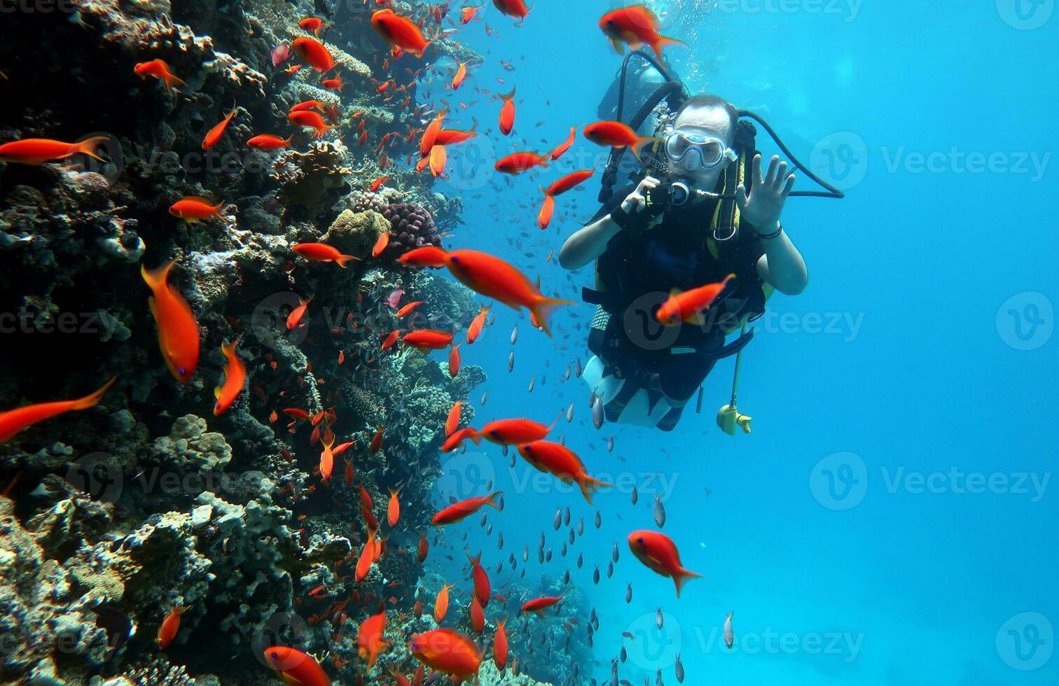 immersione nel il rosso mare nel Egitto, tropicale scogliera foto