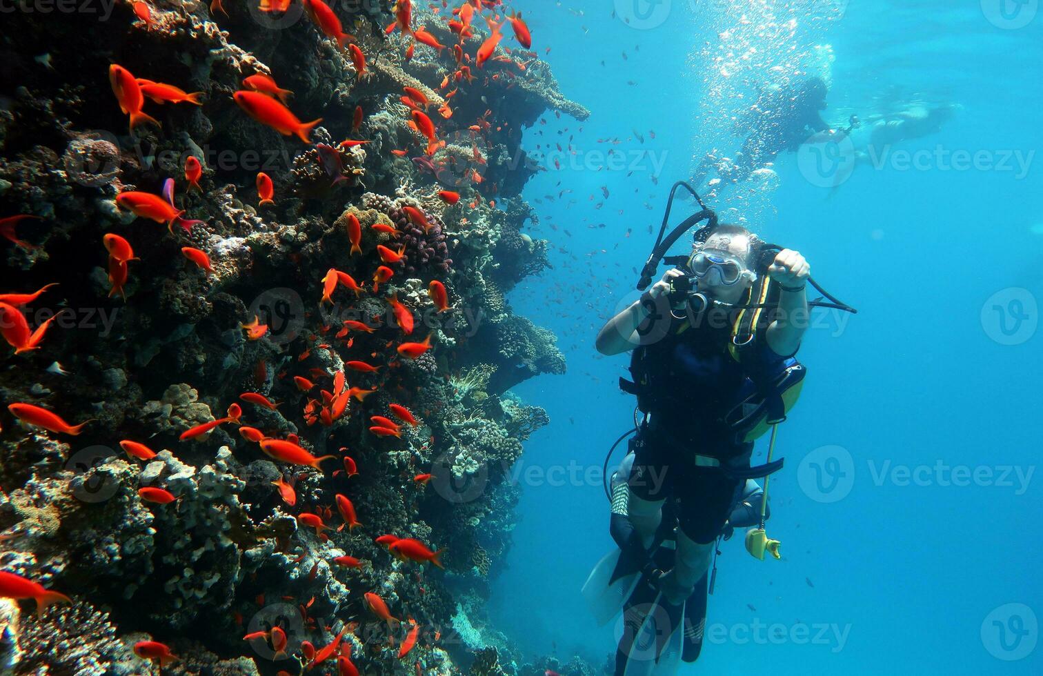 immersione nel il rosso mare nel Egitto, tropicale scogliera foto