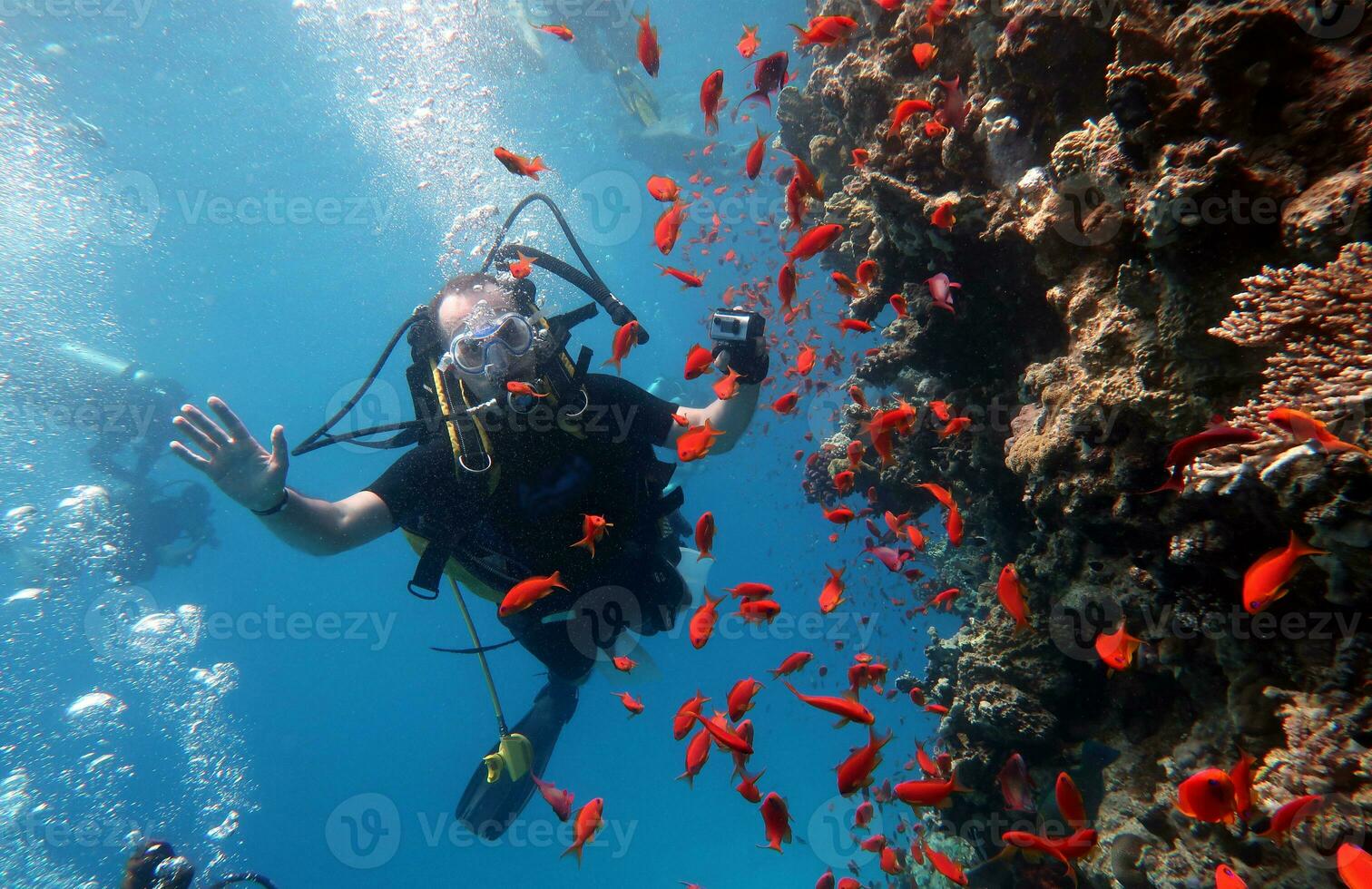 immersione nel il rosso mare nel Egitto, tropicale scogliera foto