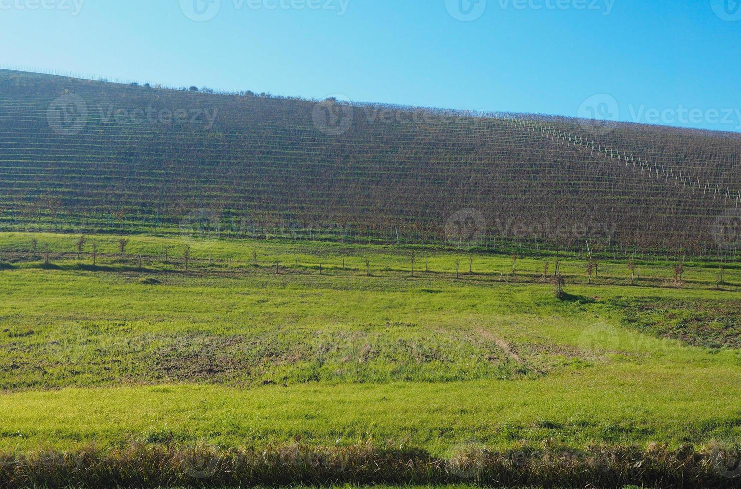 colline del roero in piemonte foto