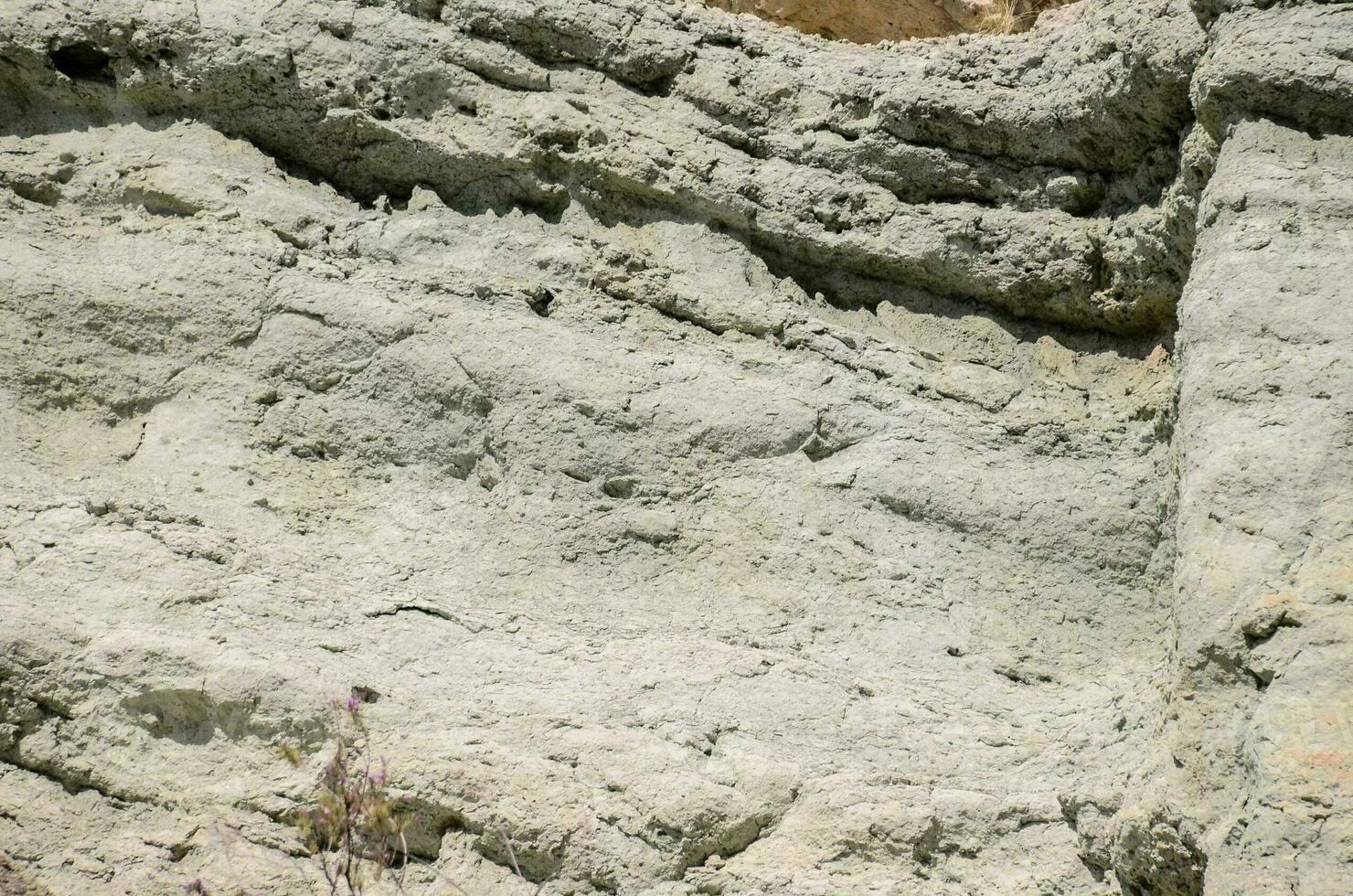 un' grande roccia formazione con un' pochi impianti in crescita su esso foto