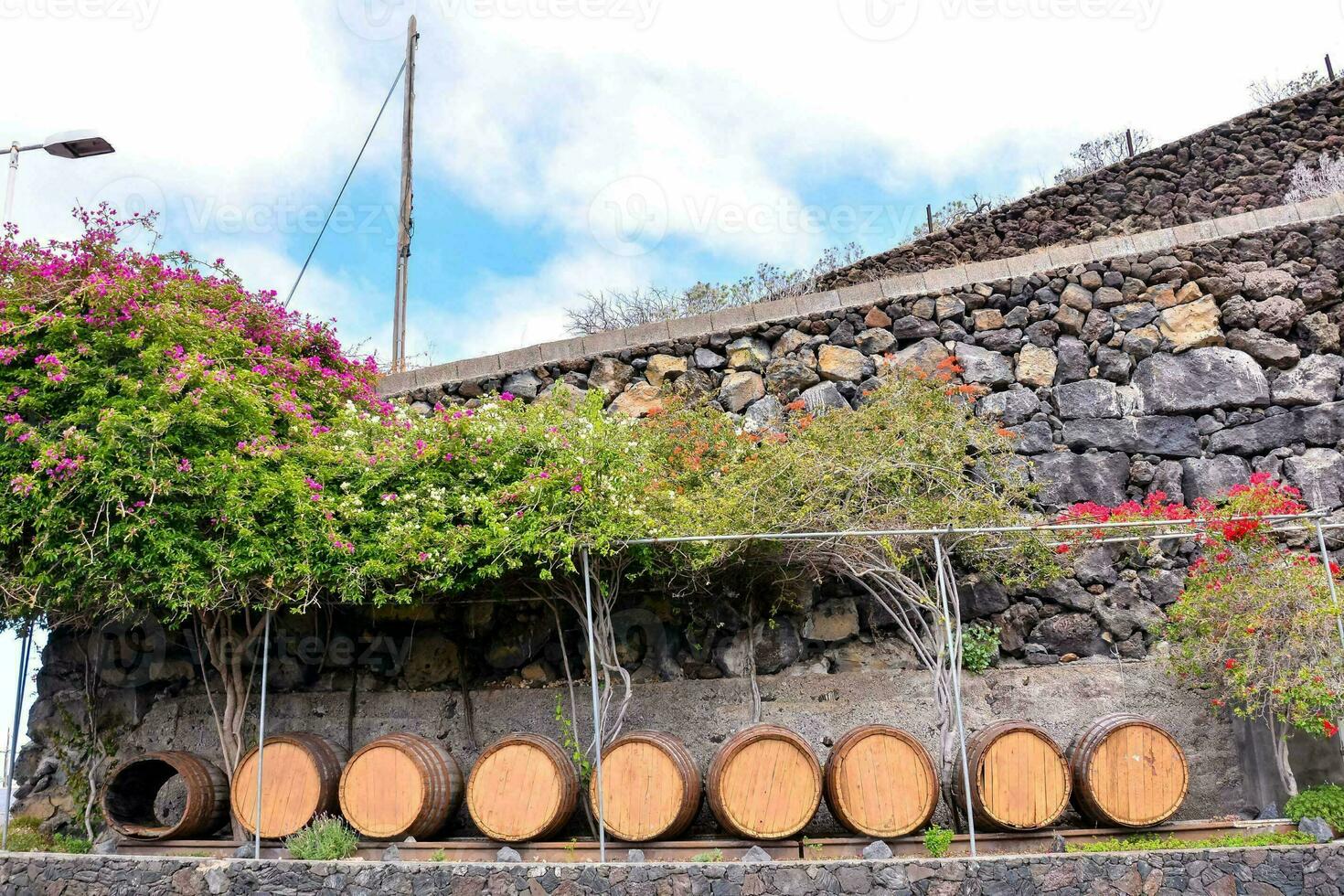 vino botti nel davanti di un' pietra parete foto