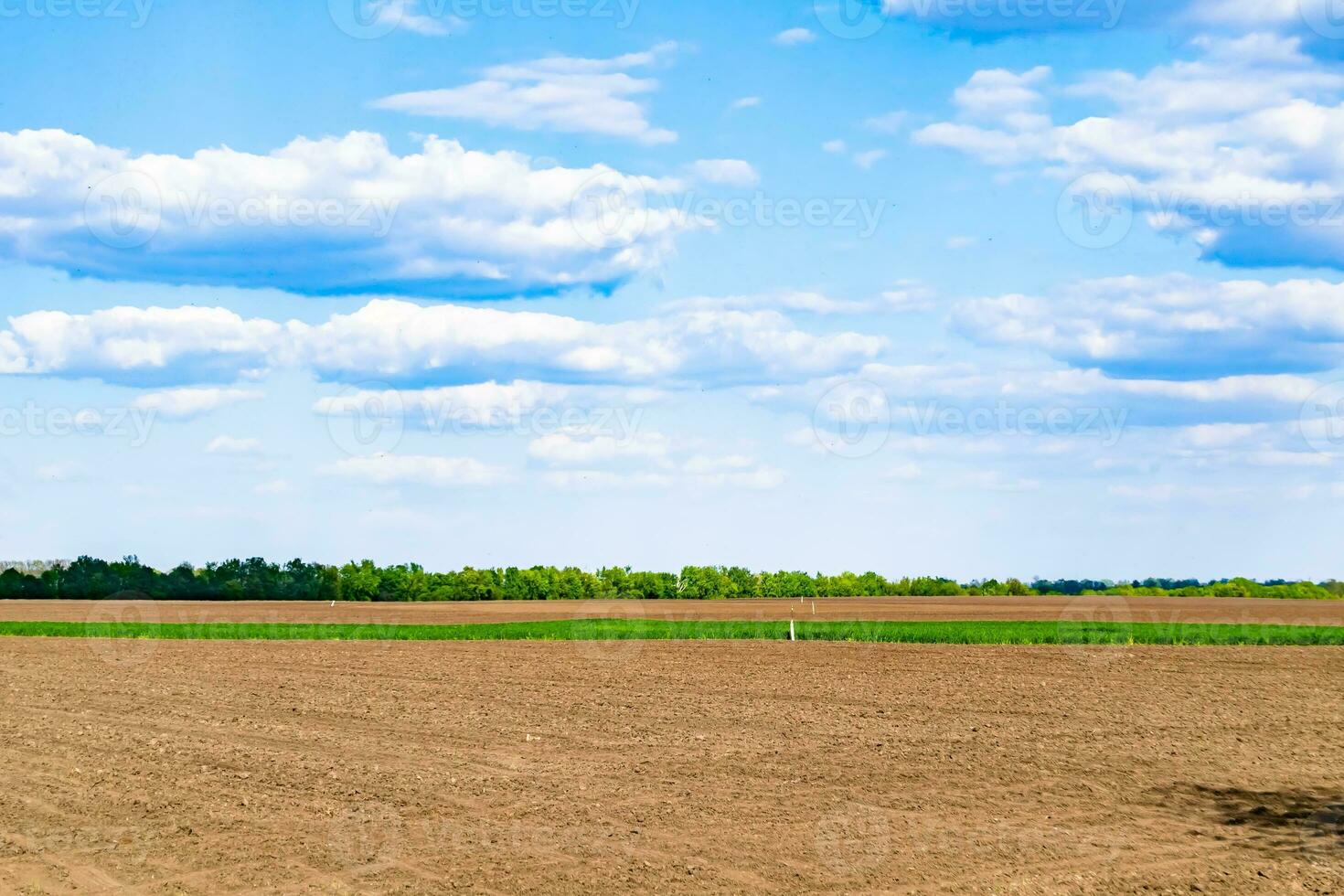 fotografia su tema grande vuoto azienda agricola campo per biologico raccogliere foto