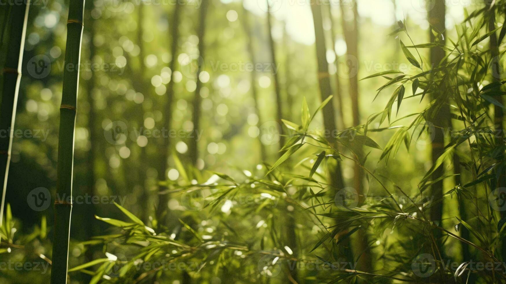 un' sereno bambù foresta con raggi di luce del sole streaming attraverso il torreggiante alberi ai generato foto