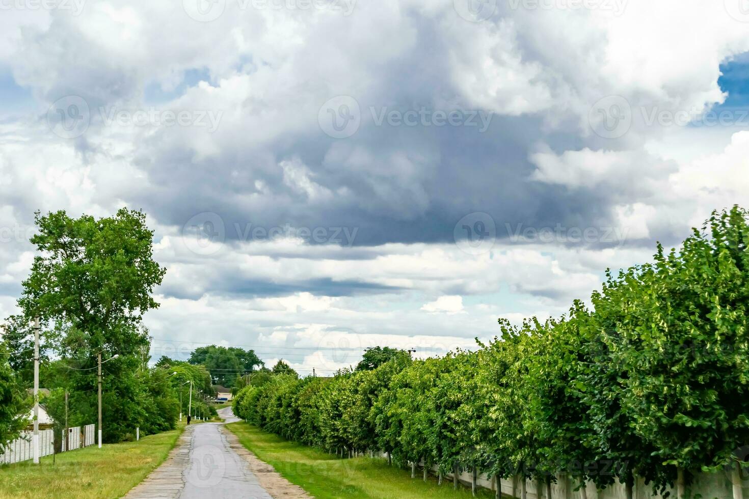 bella strada asfaltata vuota in campagna su sfondo colorato foto