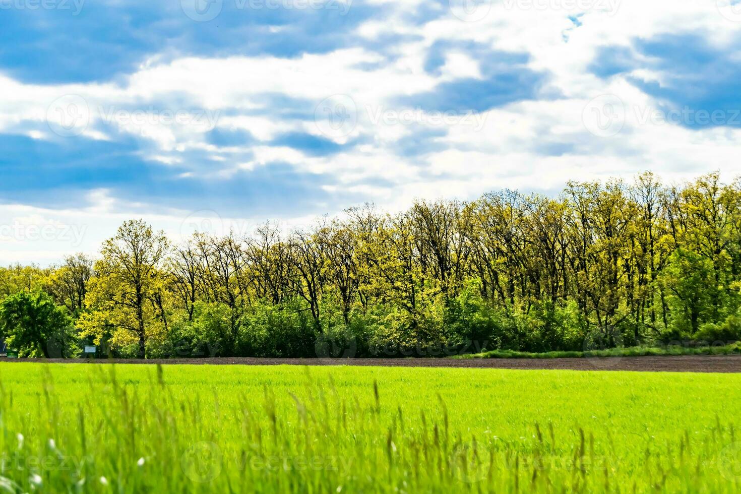 bellissimo orizzonte scenario nel villaggio prato su colore naturale sfondo foto