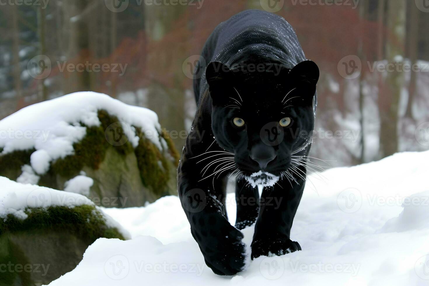 bellissimo ritratto di un' nero pantera di il giaguaro specie. neurale Rete ai generato foto