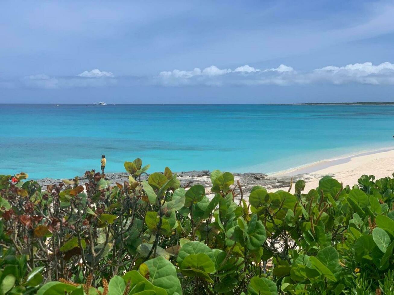 tranquillo litorale sereno orizzonte, tropicale bellezza al di sopra di acqua baia, spiaggia, bellissimo natura, acqua, costa, cielo, vacanza, tropicale, la tranquillità, viaggio. foto