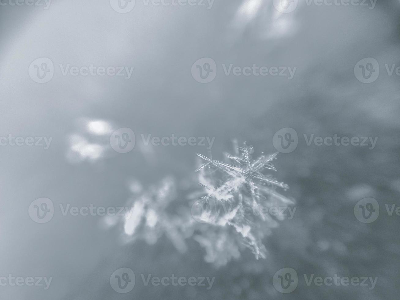 fiocco di neve da vicino foto