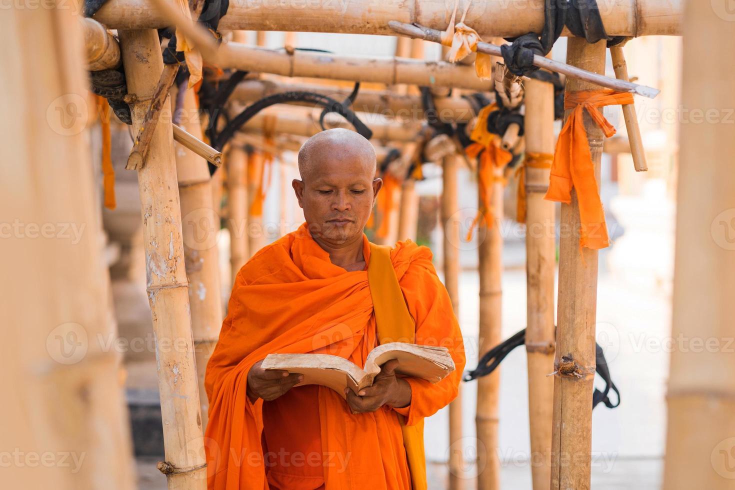 i monaci in thailandia stanno leggendo libri foto