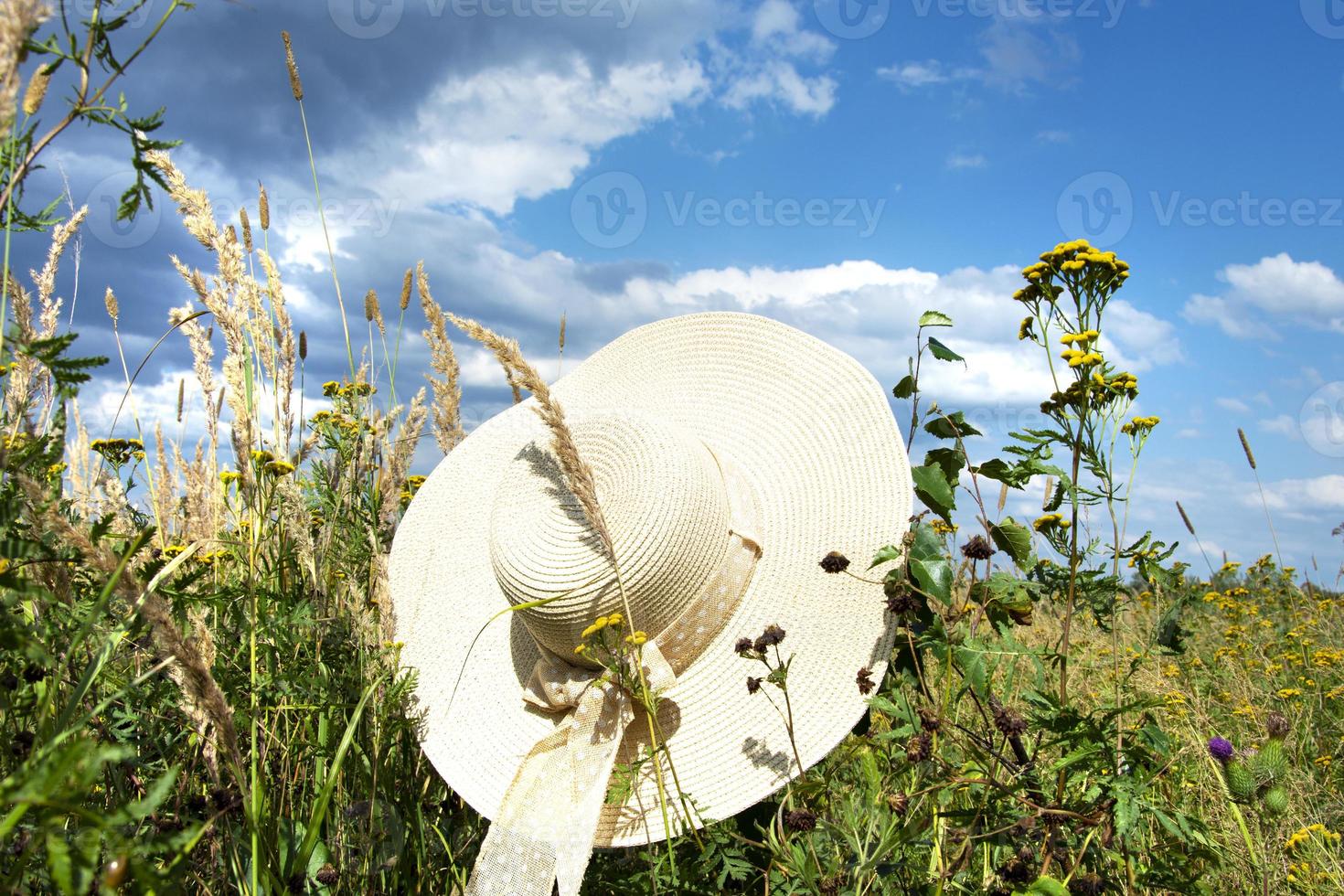 un cappello di paglia con un fiocco nei raggi foto