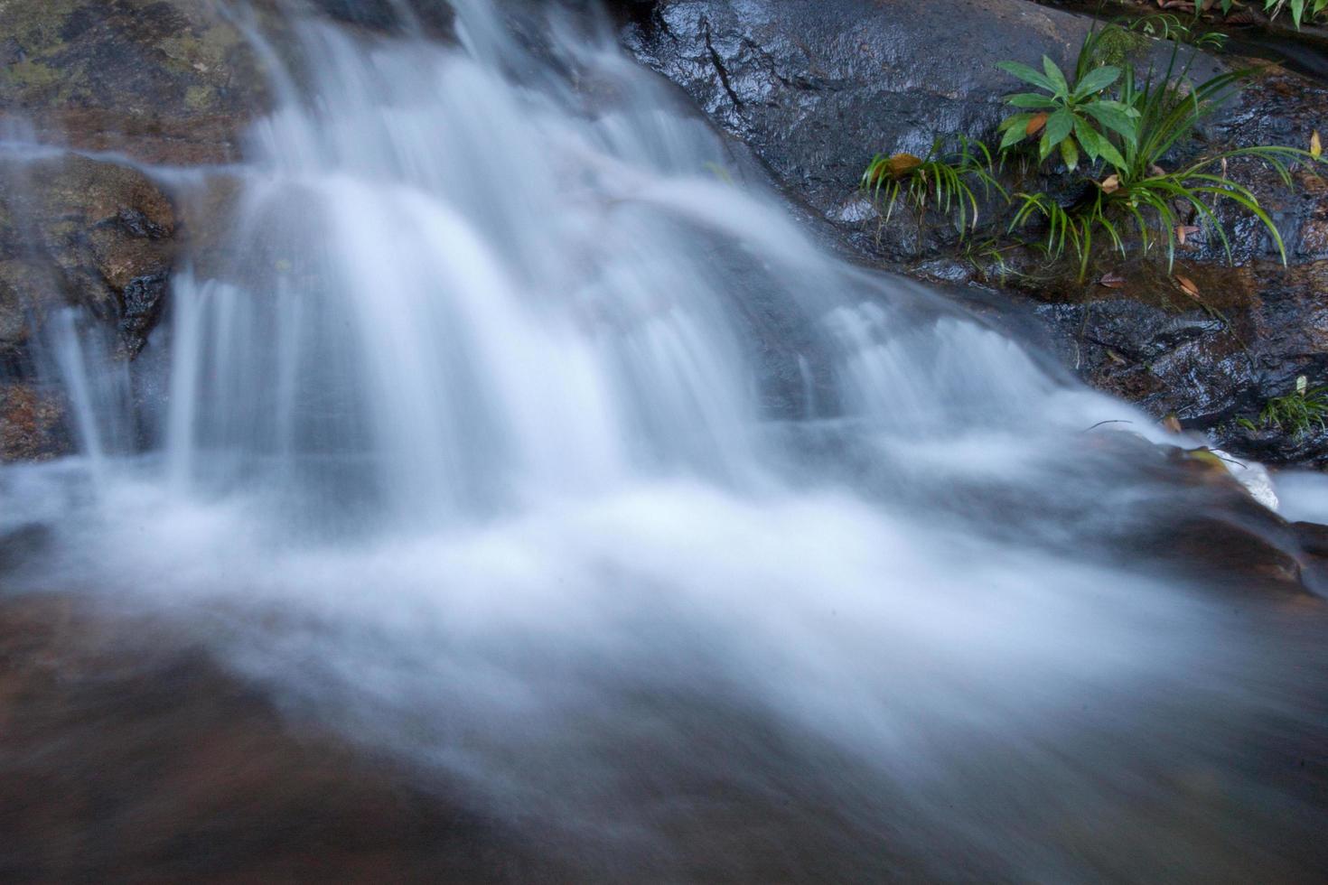 acqua che scorre in una bellissima cascata foto