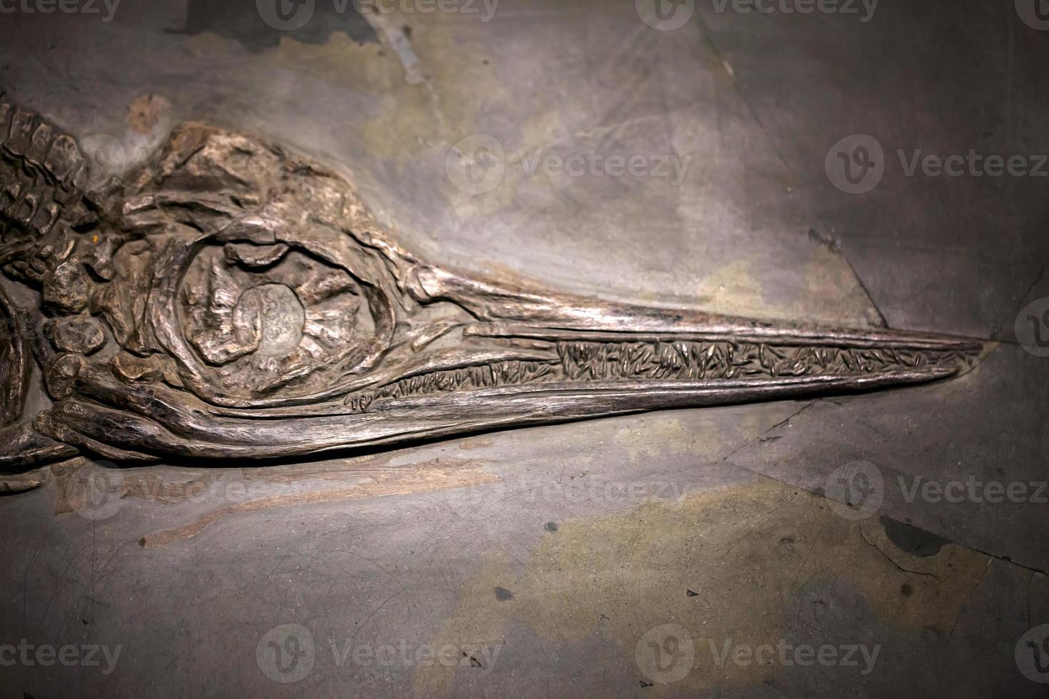 antico scheletro fossile di dinosauro preistorico foto