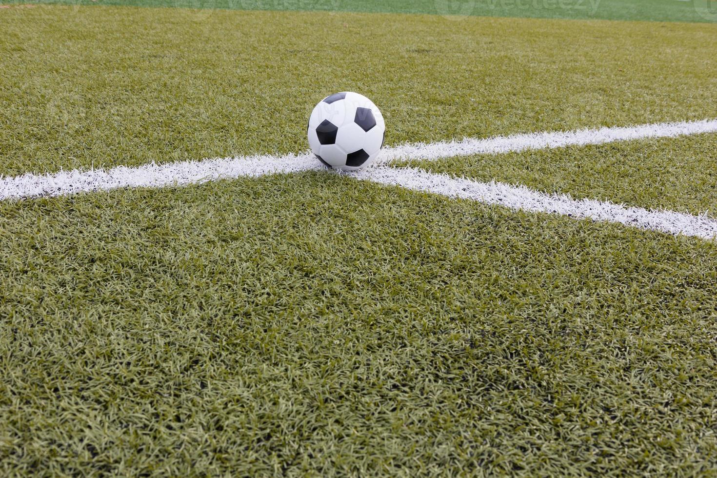 pallone da calcio sul campo foto