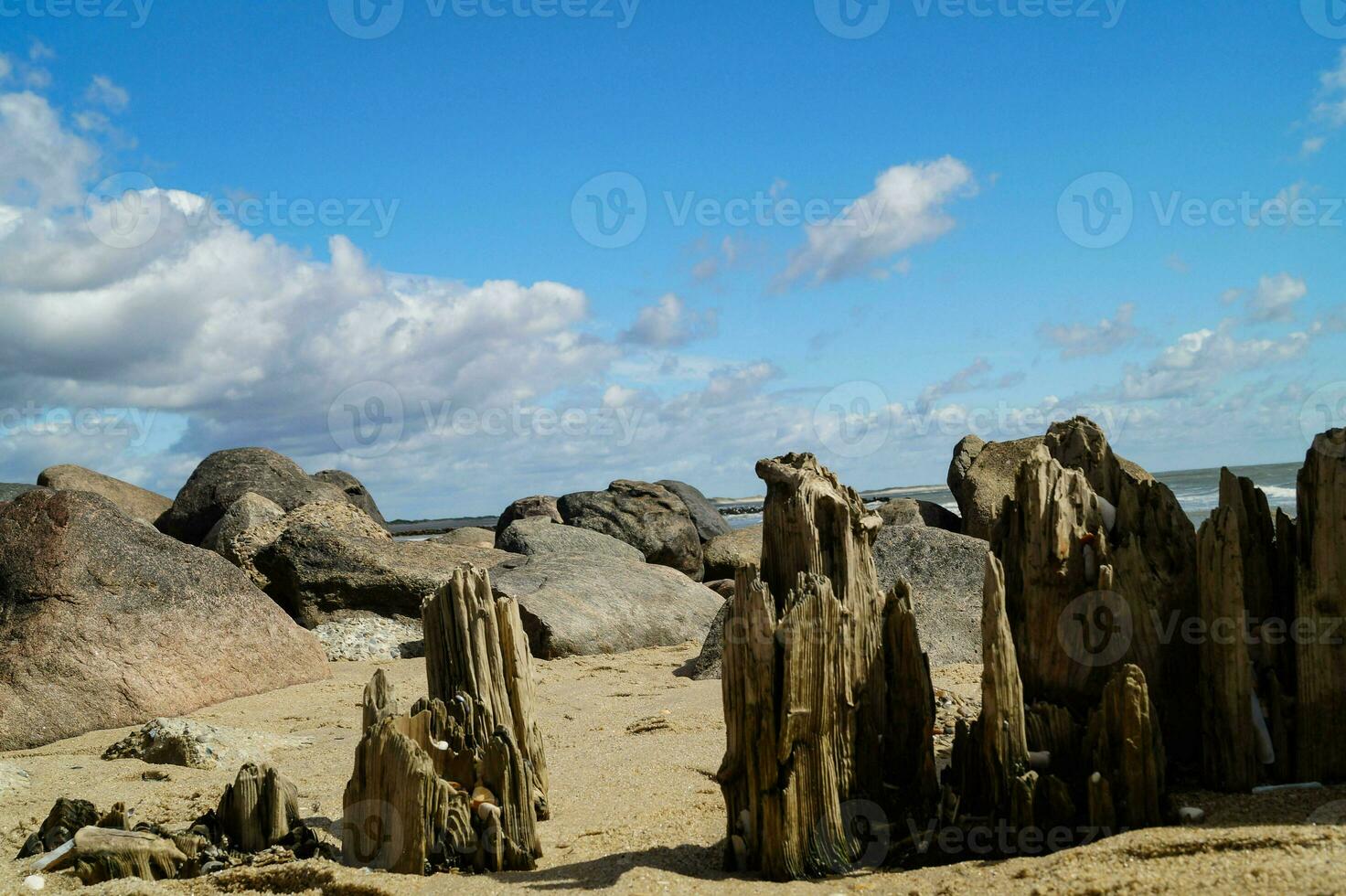 impressioni di il infinito spiaggia a il settentrionale mare nel blavanda Danimarca foto