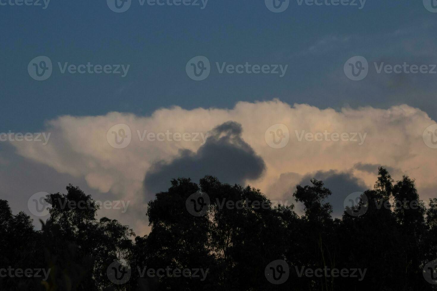 vasto cielo di nuvole e alberi. foto