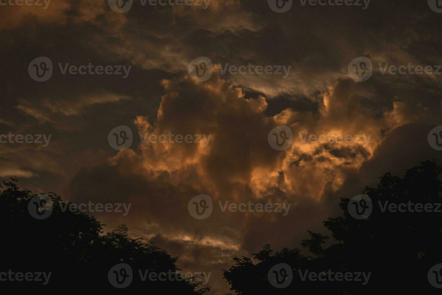 drammatico tramonto cielo con buio sagome di alberi foto