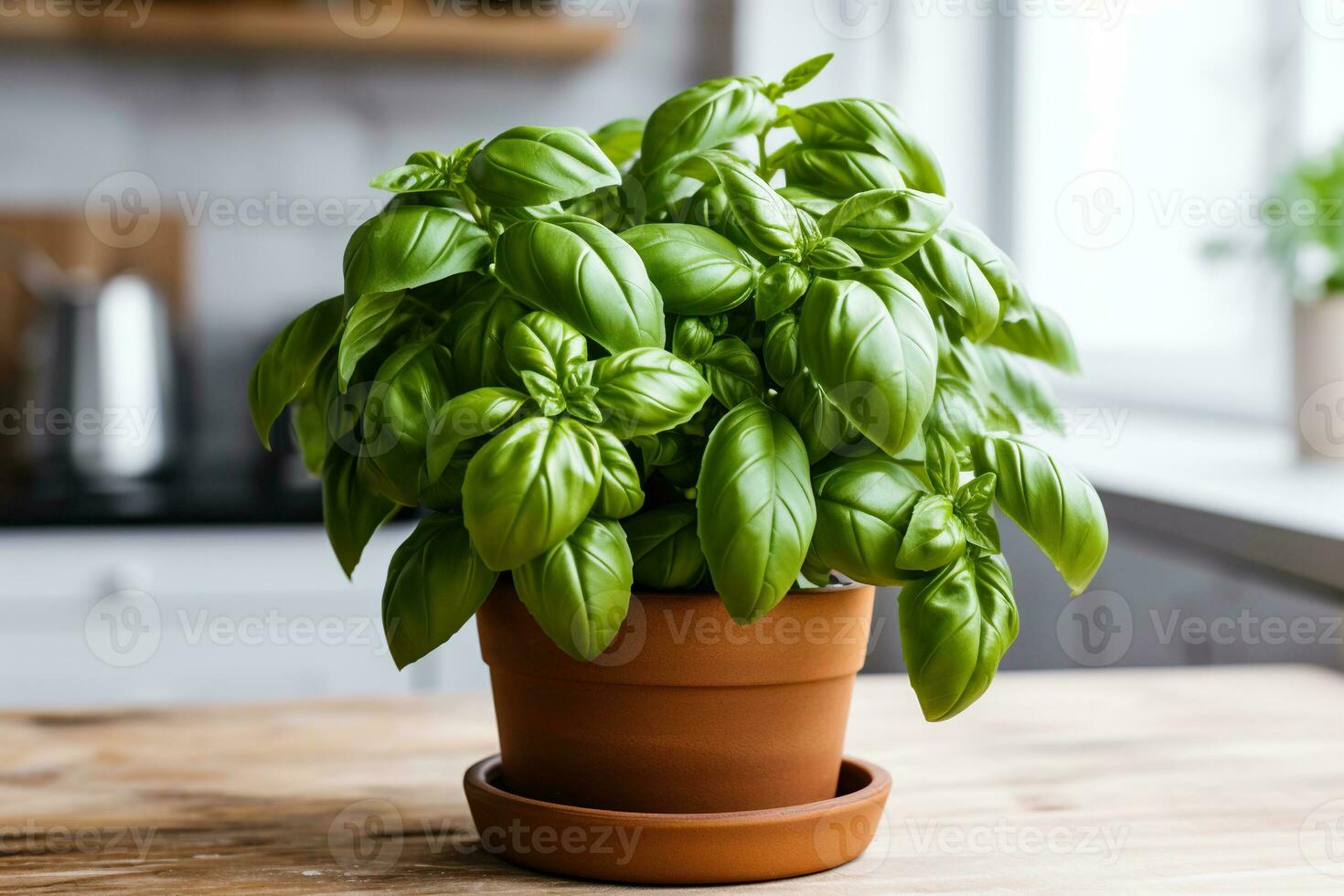 basilico nel un' pentola nel il cucina, sfocato cucina nel il sfondo. foto