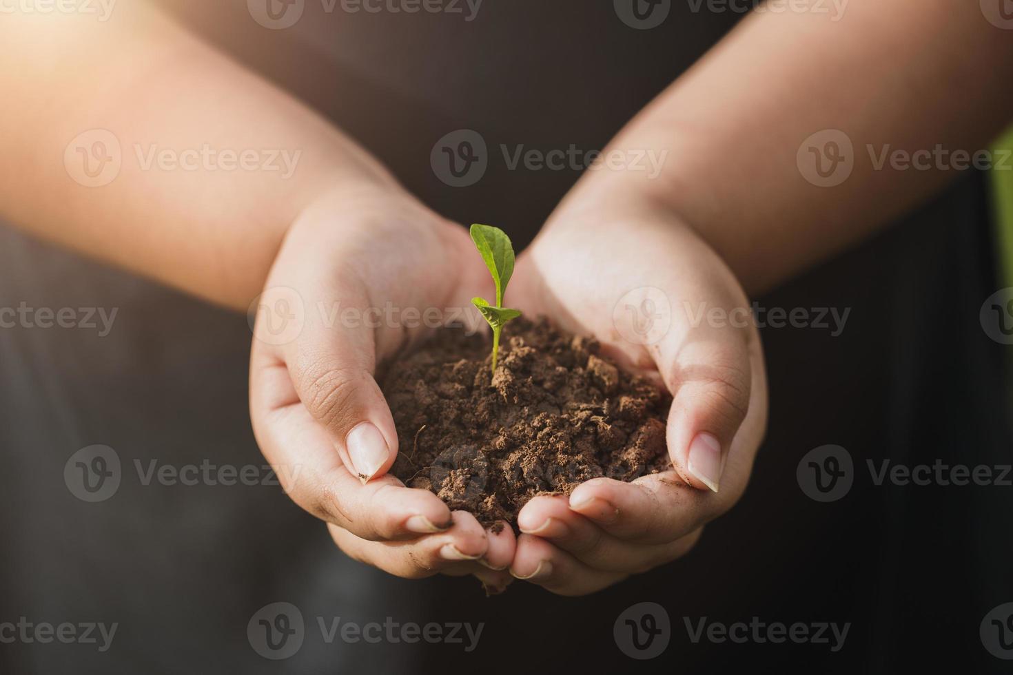 csr concept e business piantare alberelli di alberi. foto