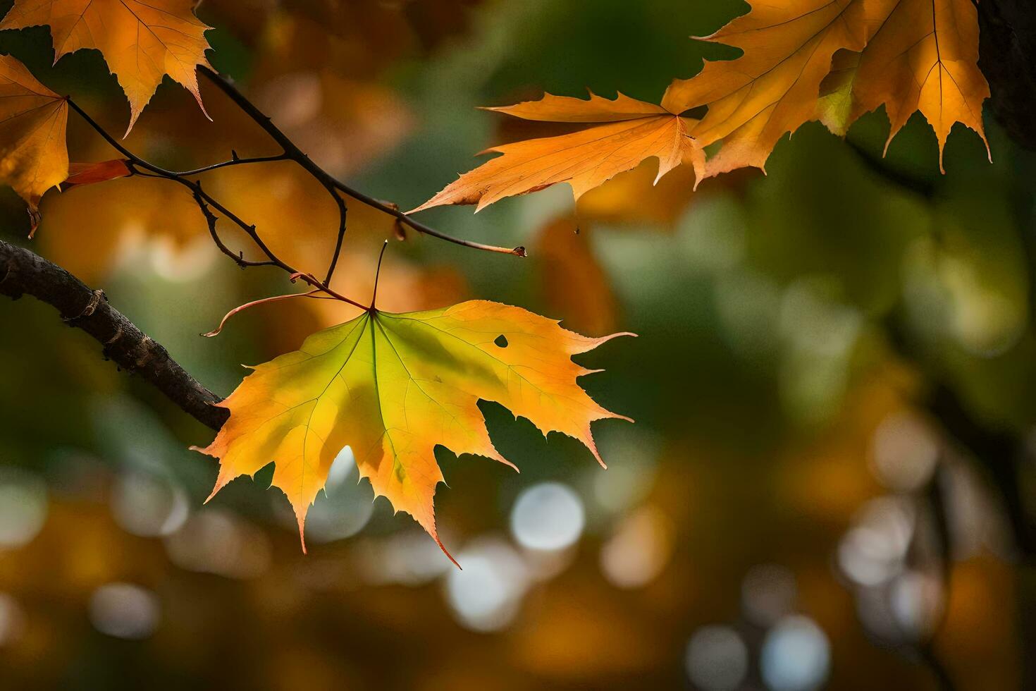 autunno foglie, autunno, autunno foglie, autunno foglie, autunno foglie, autunno foglie, autunno. ai-generato foto