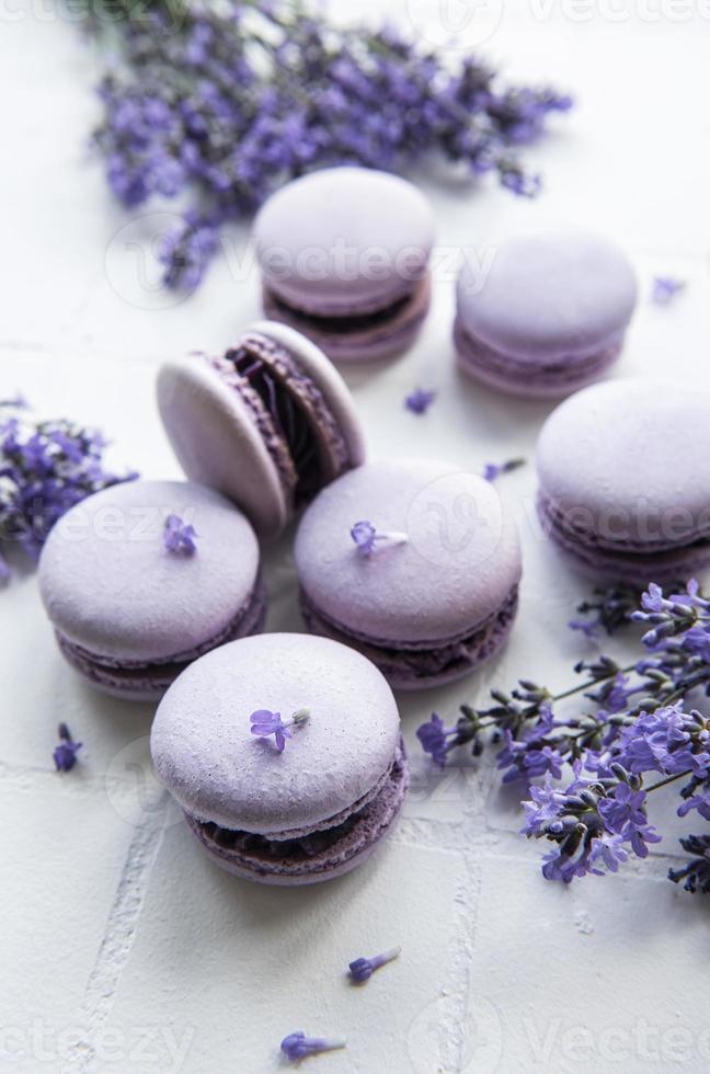 macarons francesi al gusto di lavanda e fiori di lavanda freschi foto