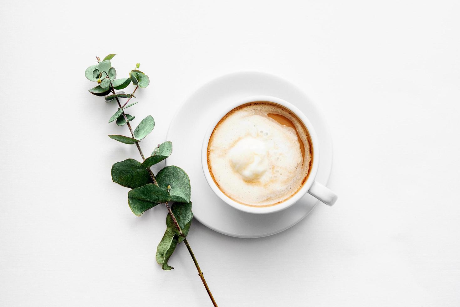 tazza in ceramica con cappuccino e un ramo verde su sfondo bianco foto