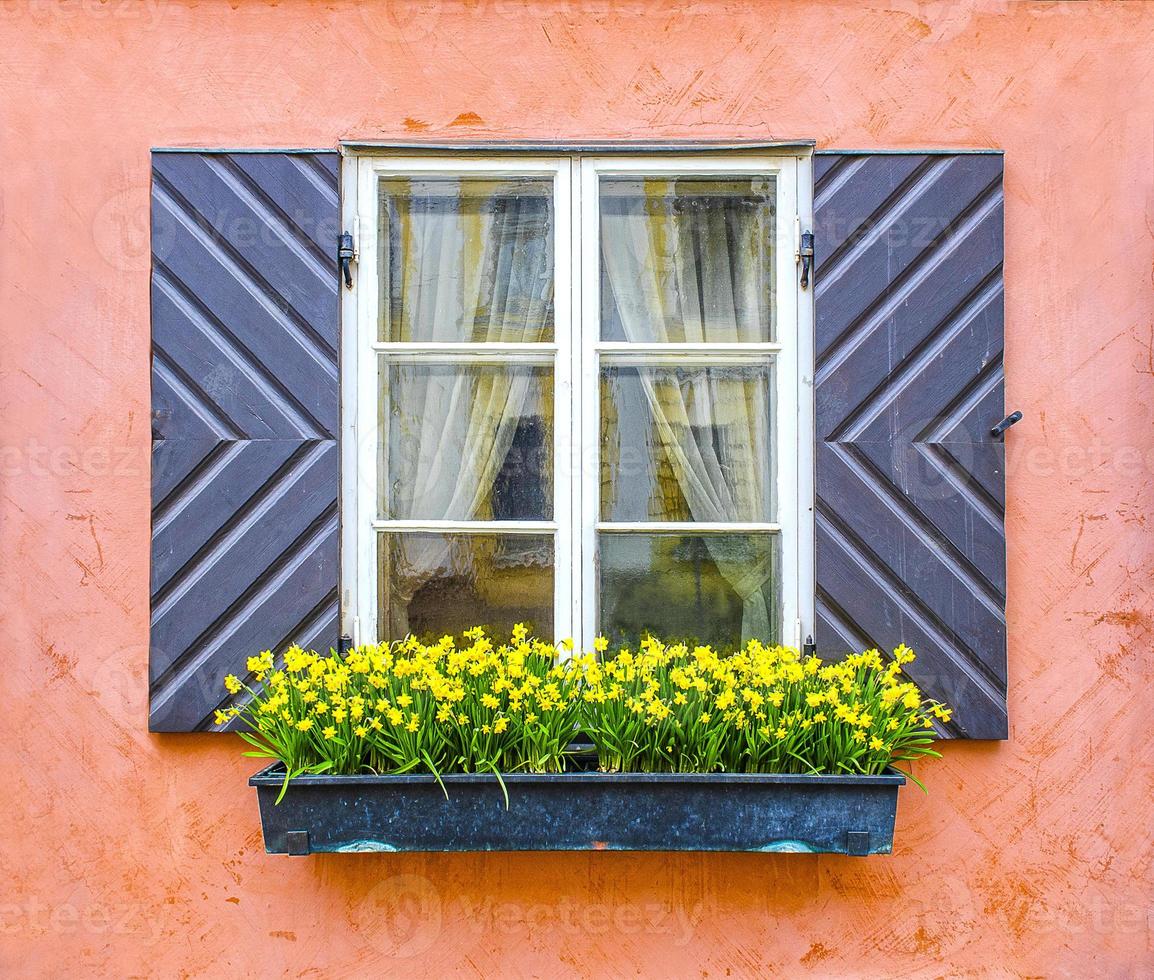 vecchia finestra da vicino. fiori gialli. foto