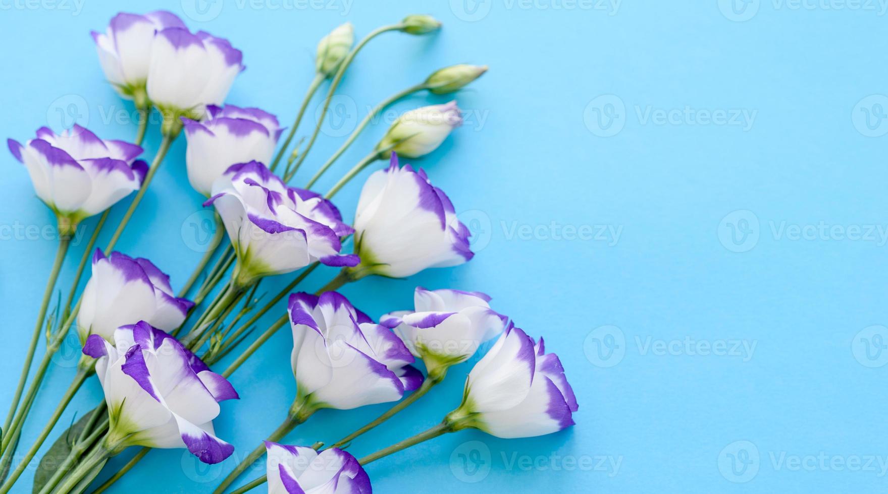 un bouquet di bellissimi eustomi viola appena tagliati foto