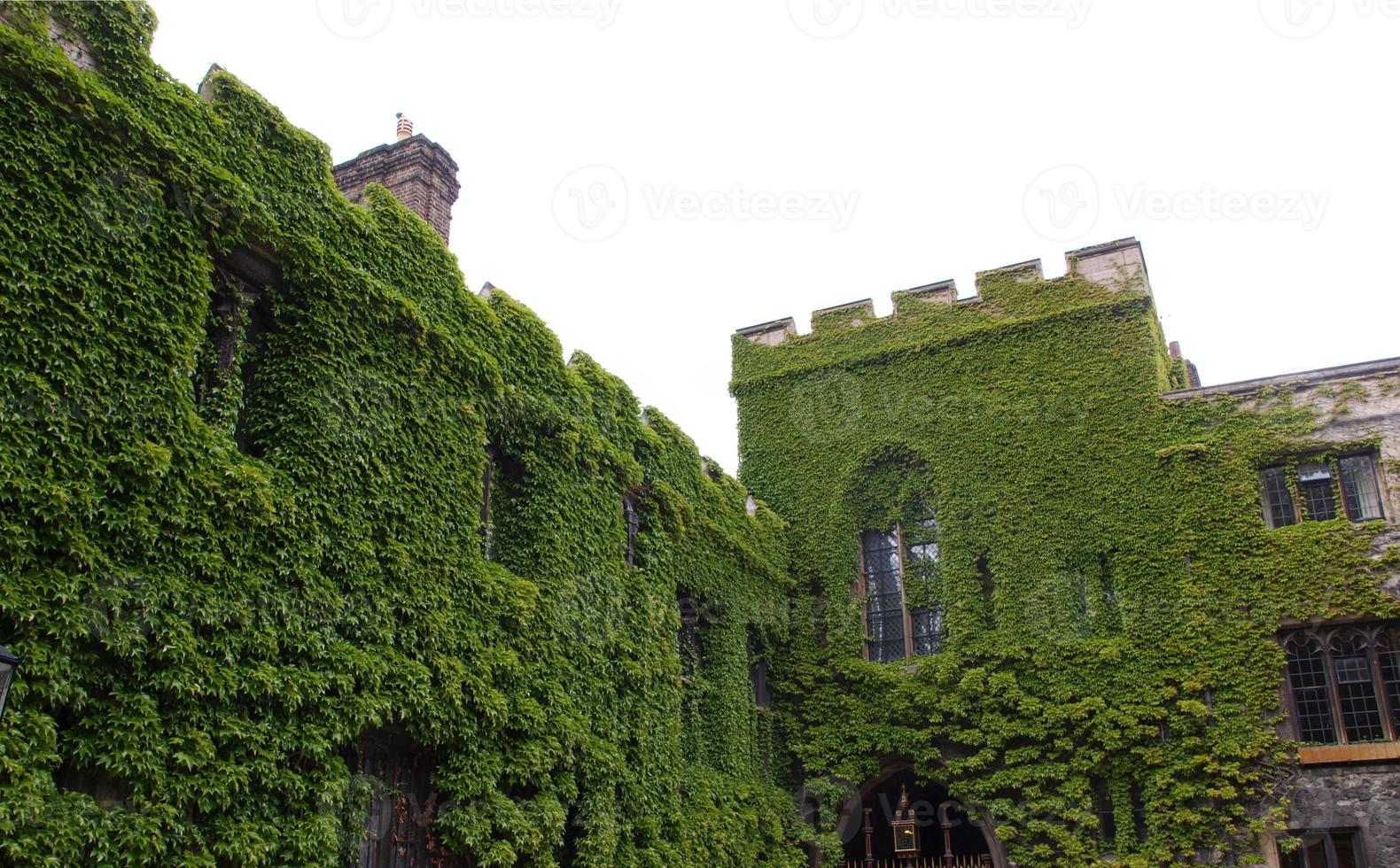 abbazia di westminster a londra foto