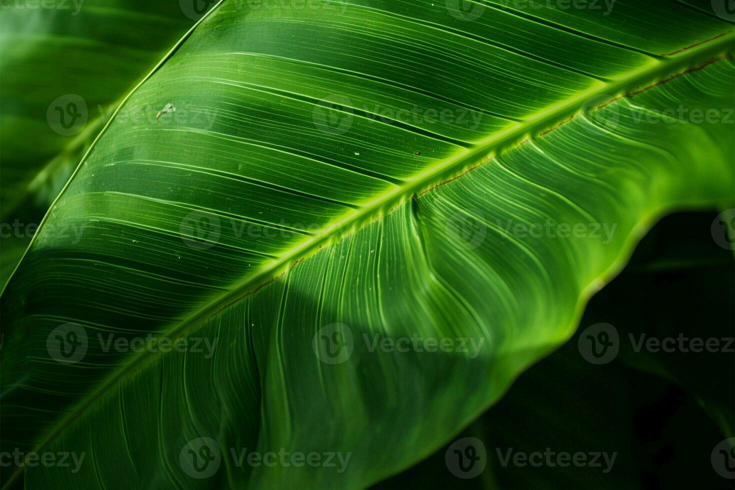 dettagliato tropicale foglia nel vicino su, la creazione di un' lussureggiante naturale sfondo ai generato foto