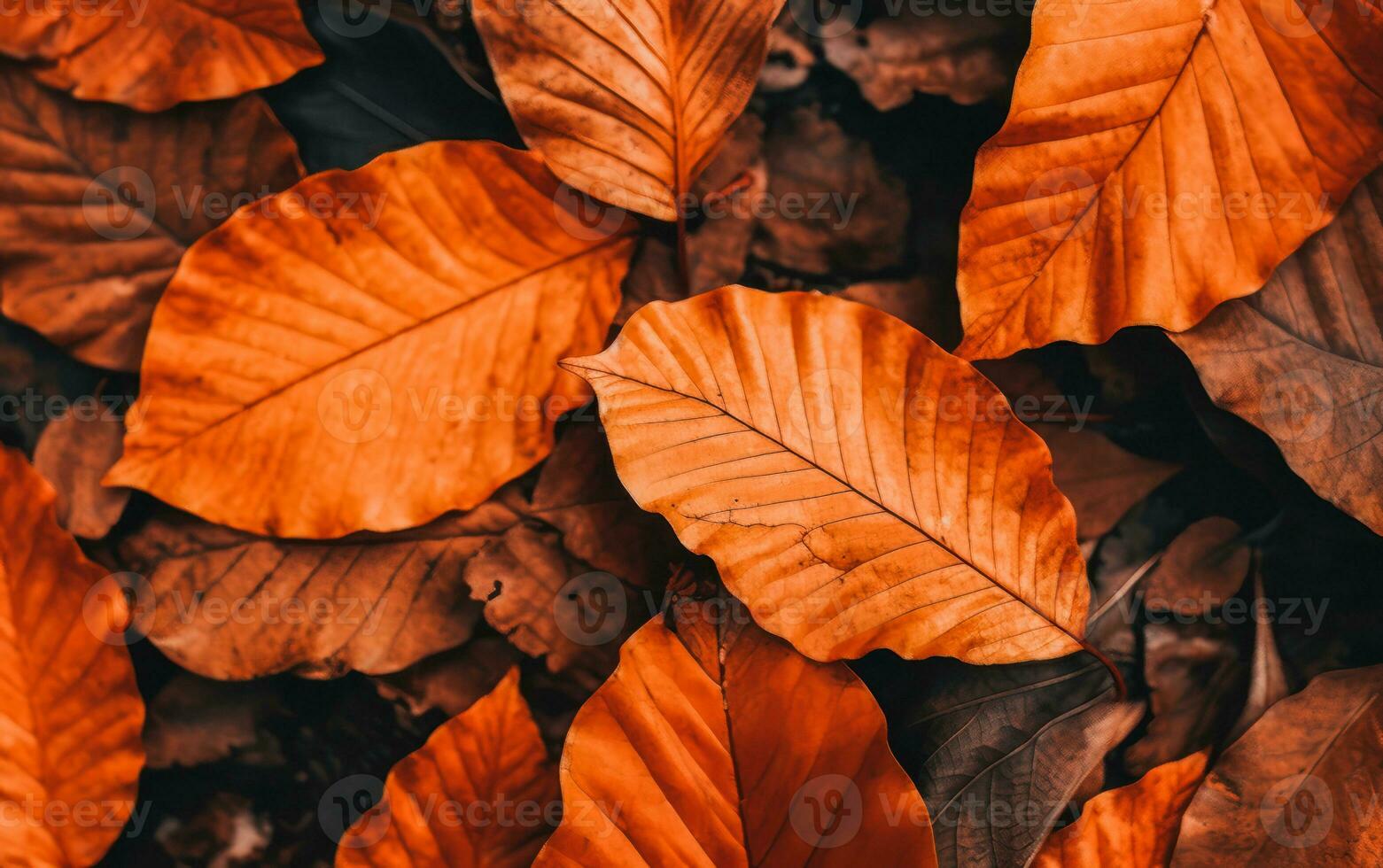 vicino su di colorato autunno le foglie struttura. ai generativo foto