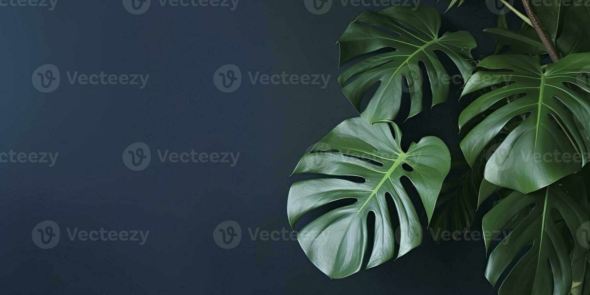 tropicale le foglie Monstera su buio blu sfondo. vuoto spazio piatto posizione. creativo minimo estate concetto. generativo ai foto