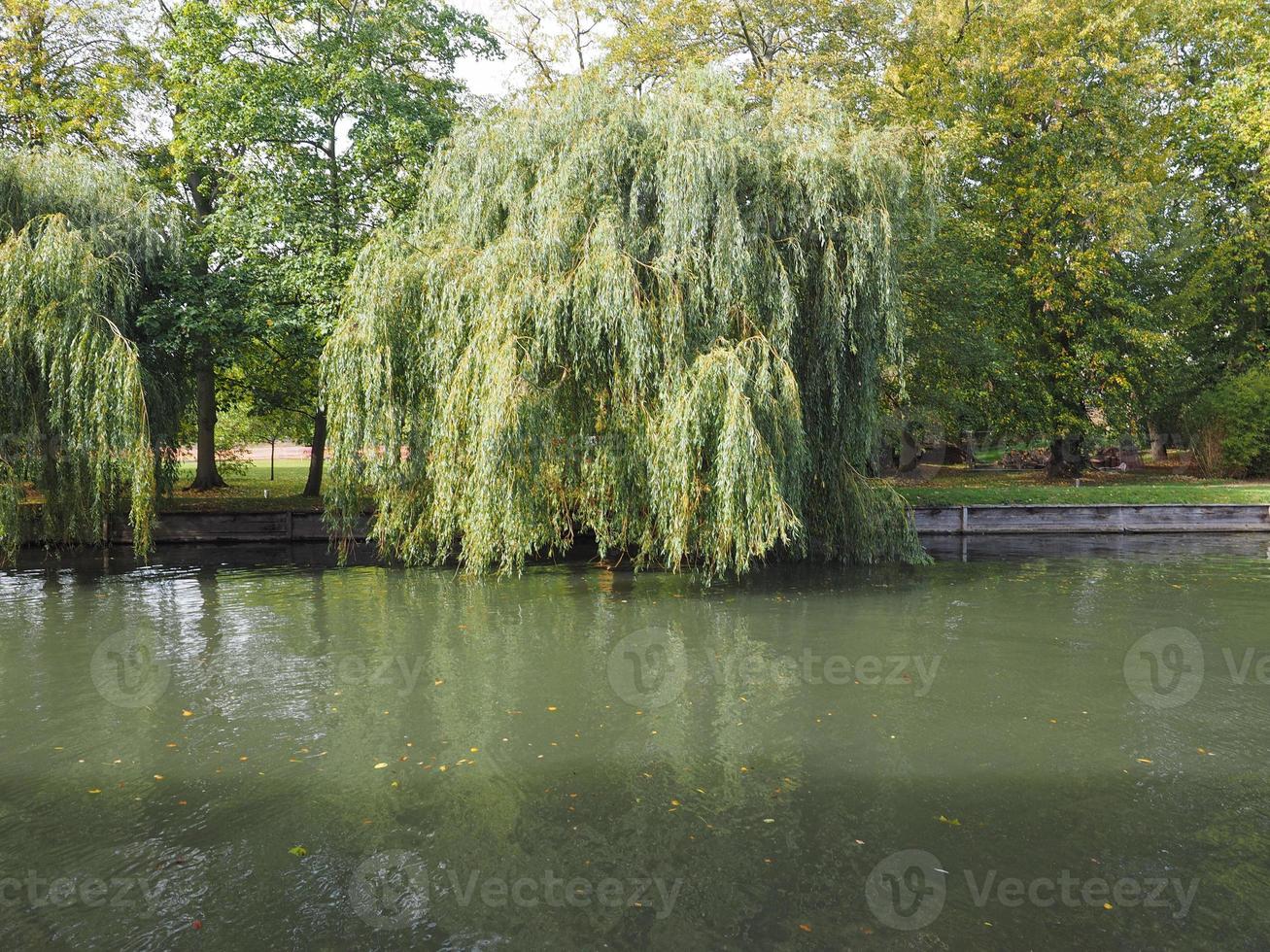 fiume cam a cambridge foto