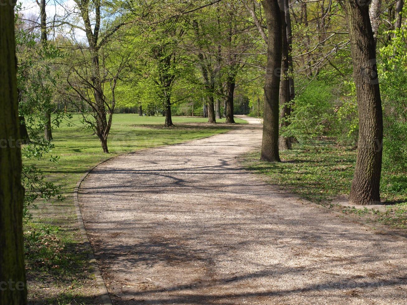 parco tiergarten, berlino foto