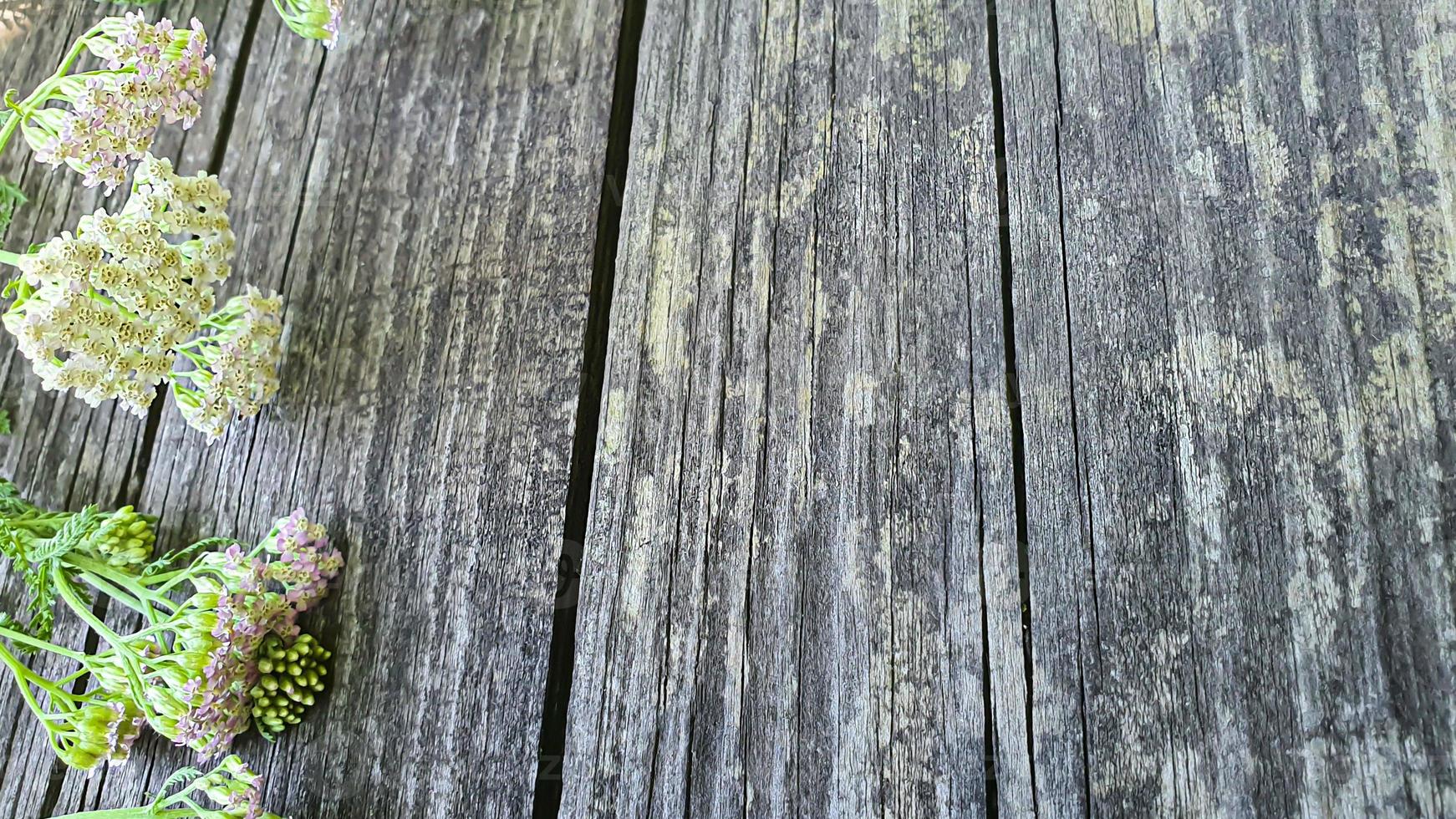 vecchia superficie di legno rustico con foglie. tavole per lo sfondo foto