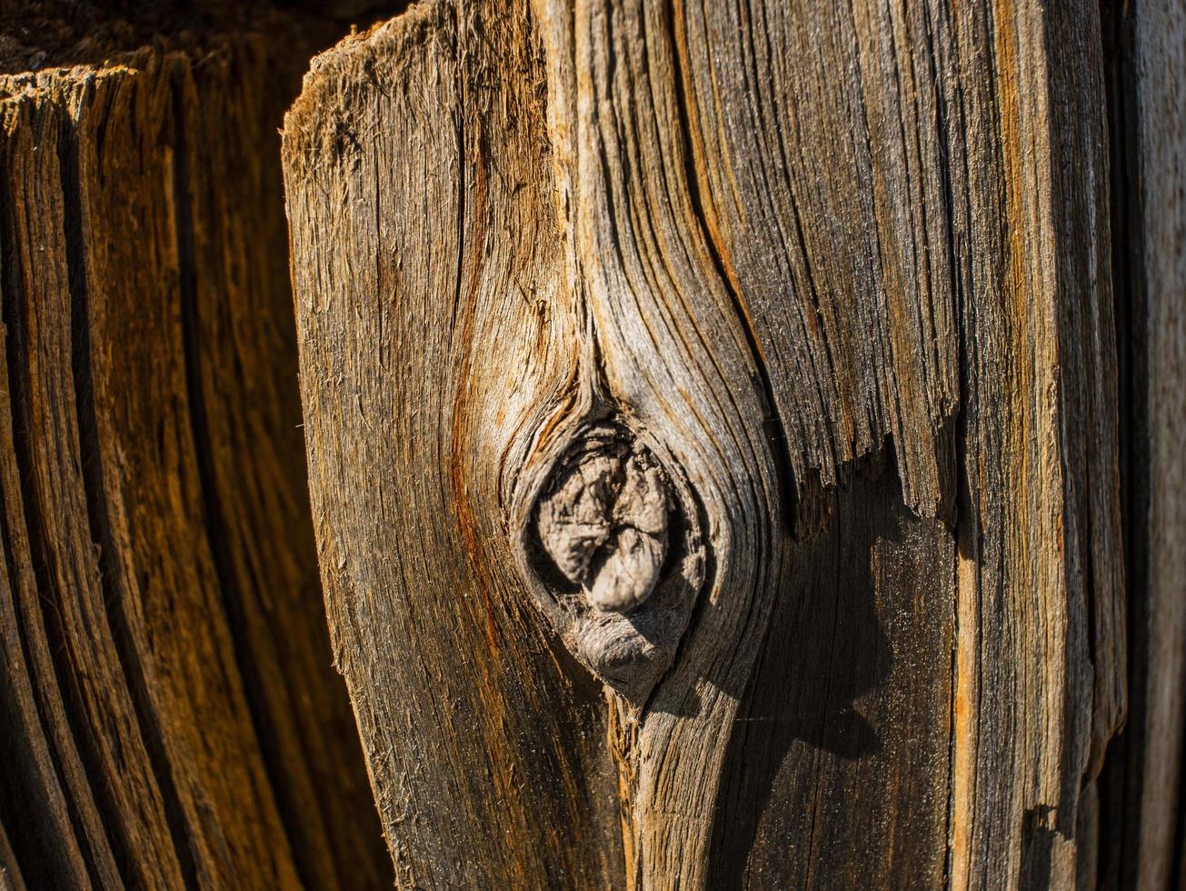 struttura in legno vecchio e superficie in legno naturale foto