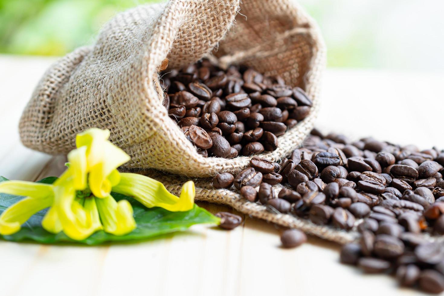 chicco di caffè nel sacco sul tavolo foto