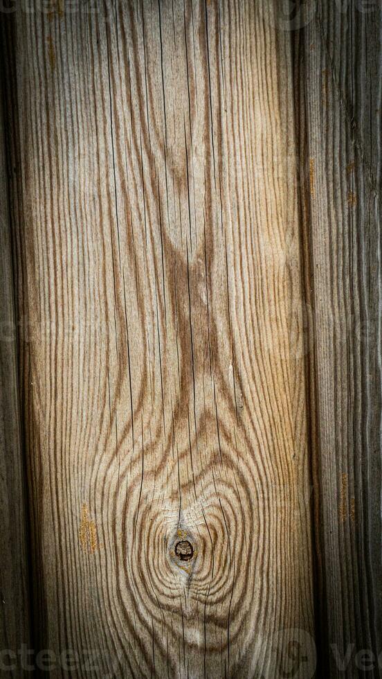 naturale legna grano struttura sfondo foto